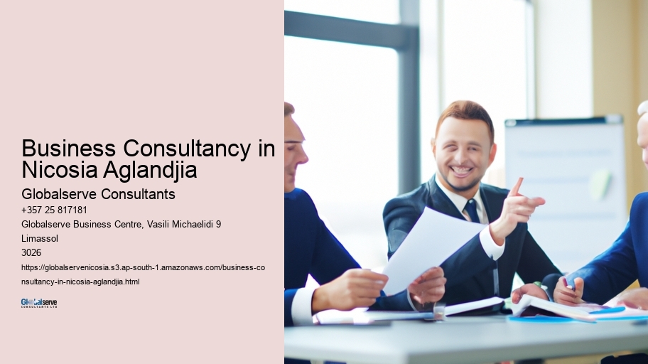 Business Consultancy in Nicosia Aglandjia