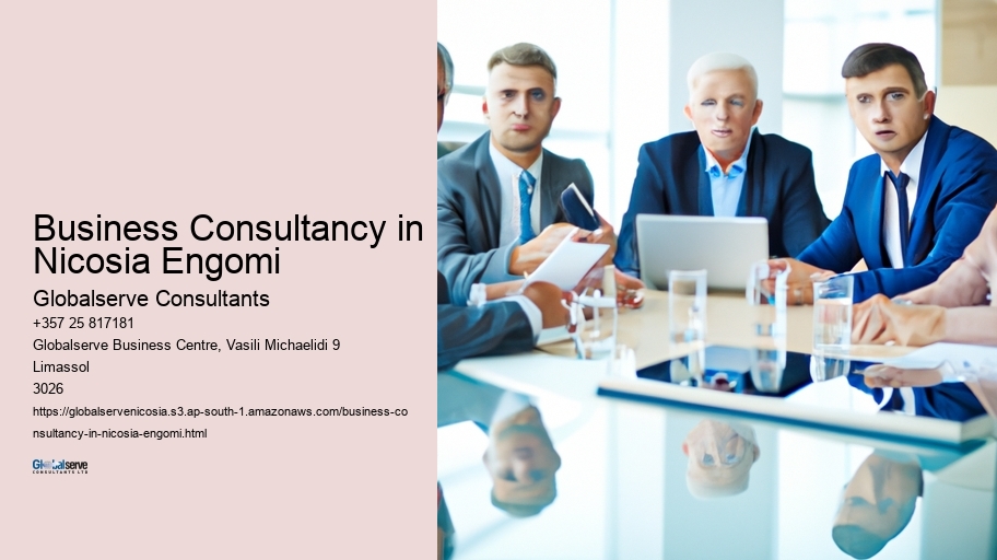 Business Consultancy in Nicosia Engomi