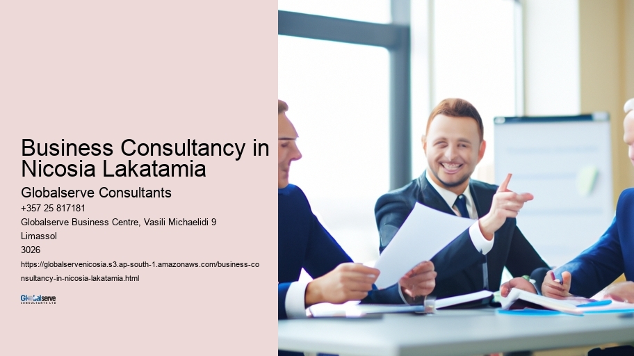 Business Consultancy in Nicosia Lakatamia