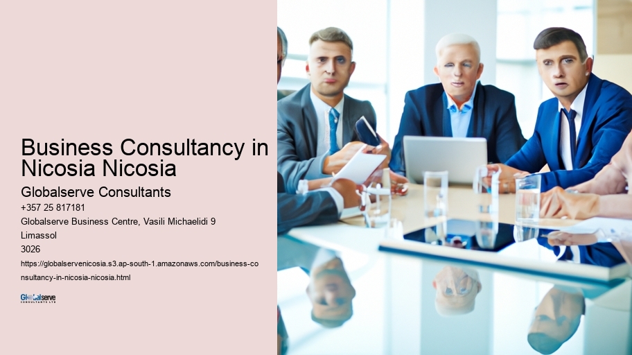 Business Consultancy in Nicosia Nicosia