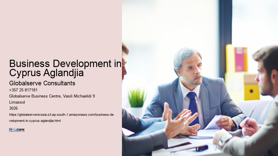 Business Development in Cyprus Aglandjia