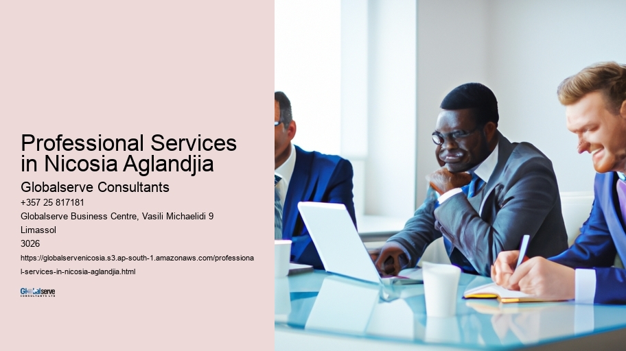 Professional Services in Nicosia Aglandjia