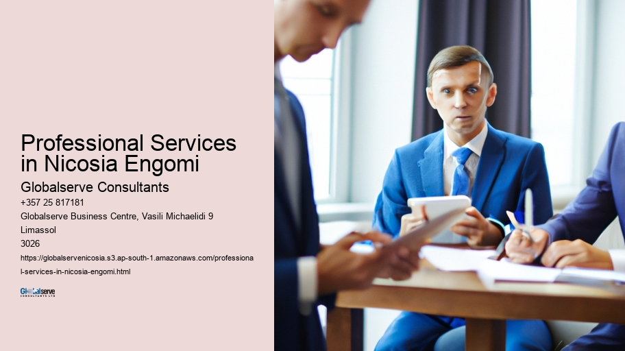 Professional Services in Nicosia Engomi